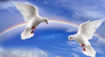 Obituary of Sandra WILLIAMS