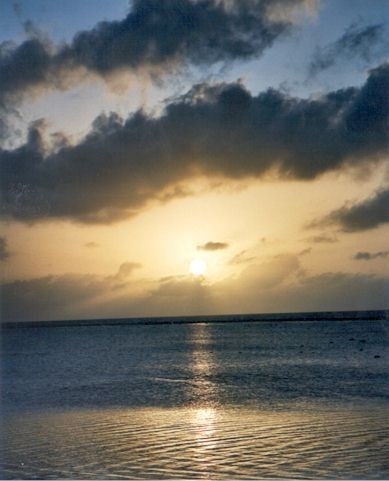 Obituary of Shirley McKay