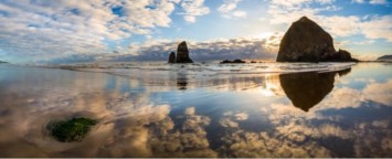 Obituary of Anna May Billings