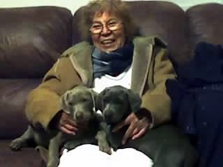 Obituary of Lupe G. Martinez