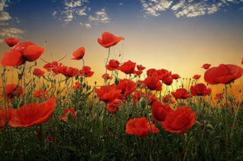 Obituary of Timothy Jones