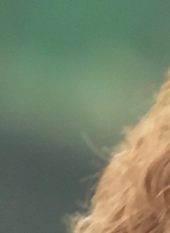 Cheshire Funeral Home Keene Nh Obituaries