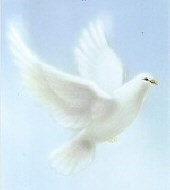 Obituary of Gracie Humphrey Worrell Hopkins