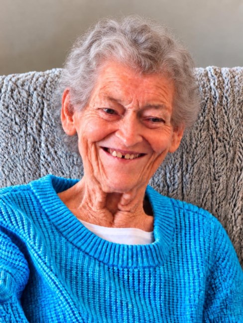 Obituary of Diane Franson Park