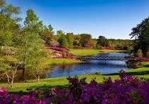 Obituary of Carol Dean Duley