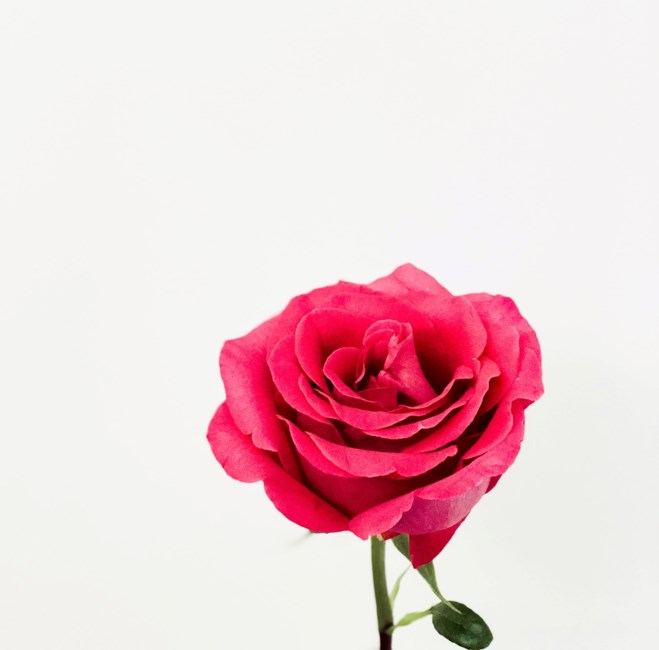 Obituary of Pacita Campanilla Pagaduan