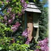 Obituario de Ruth Anne Carroll