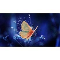 Obituary of Darlene Lutz