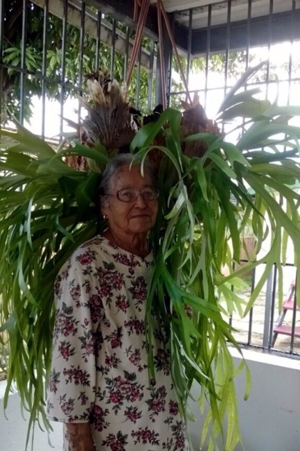 Obituary of Cruz Maria Sanchez Figueroa