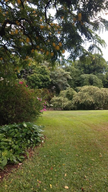 Obituary of William Francis Warren