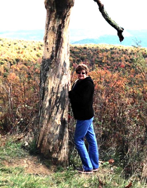 Obituario de Carol Ann Costello