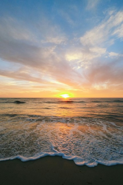 Obituary of Joseph Conte