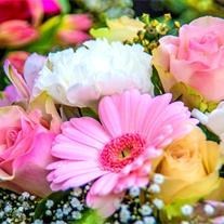 Obituary of Donna Jean (McIntire) Moss