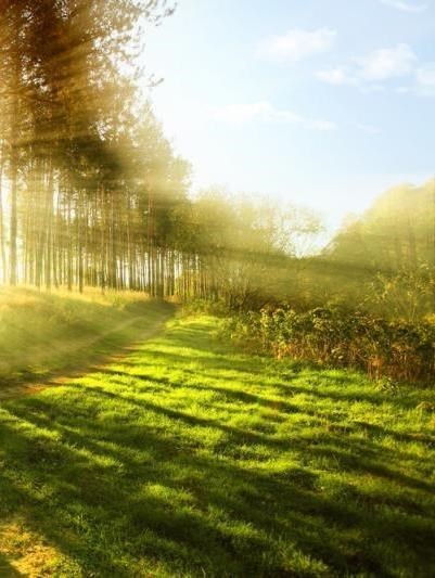 Avis de décès de Martha Friesen