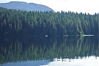 Obituario de Colin John WADDELL