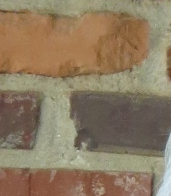 Seals Obituary Irmo, SC