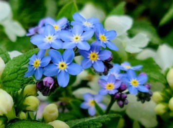 Obituary of Ethel Irene Nelson