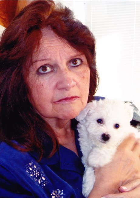 Obituary of Beverly Anne Hohman