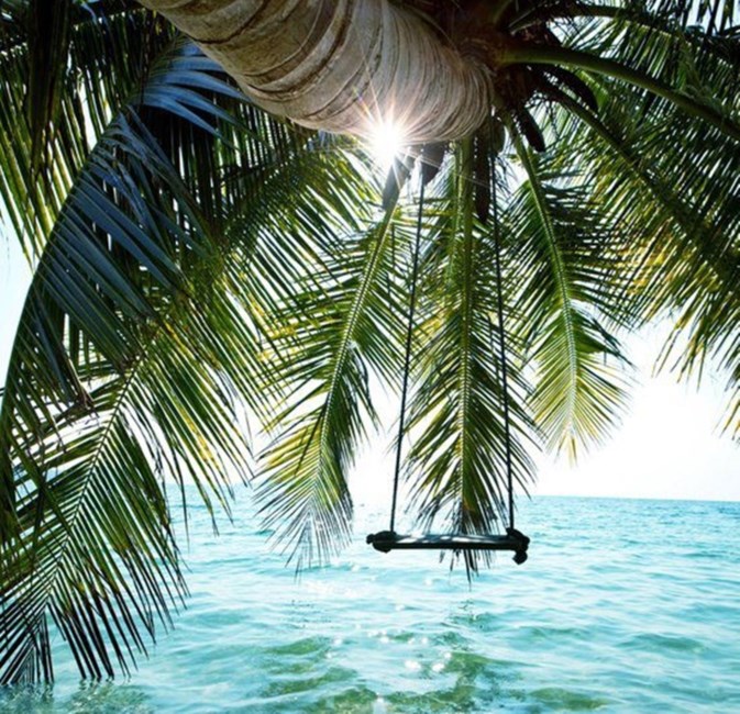 Obituary of John Payne Lowe