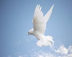 Obituary of Joyce Joan Browder