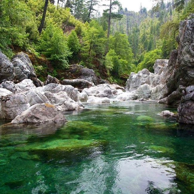 Avis de décès de James Edward McCoy