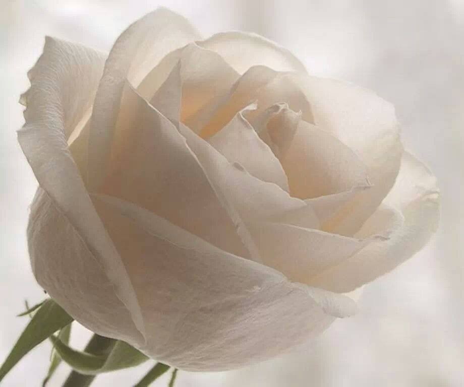 Anita Martinez Obituary El Paso, TX