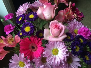 Obituary of Mary Lou Ferrante