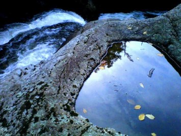 Obituary of Denise Tanza Bellantoni