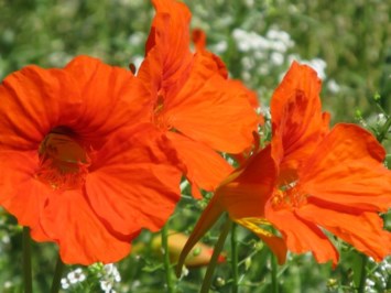 Obituary of Martin Oliver LaBerge