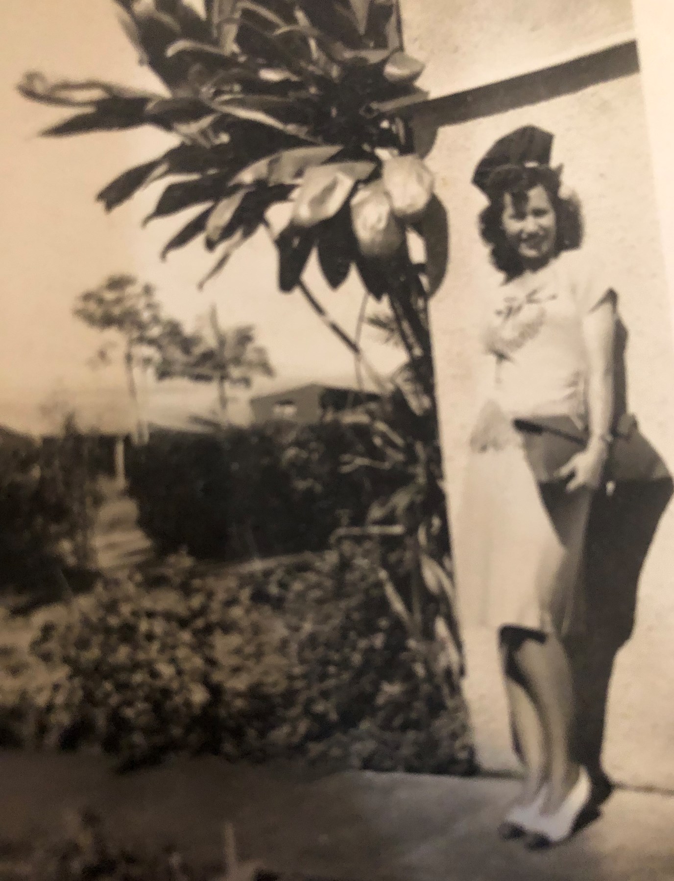 Obituary of Dorothy Araujo