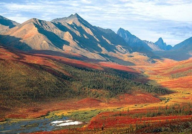 Obituary of Robert "Bob" Smith