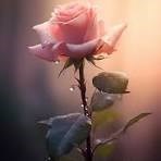 Obituary of Florence Alice Leclair