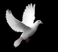 Obituary of Barbara Jean Norton