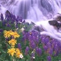 Obituary of June Cairns Stevenson