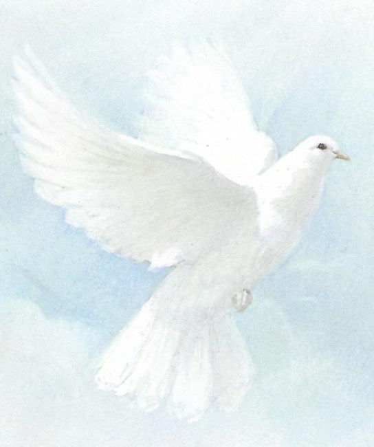 Obituary of Erma Jean Ekes