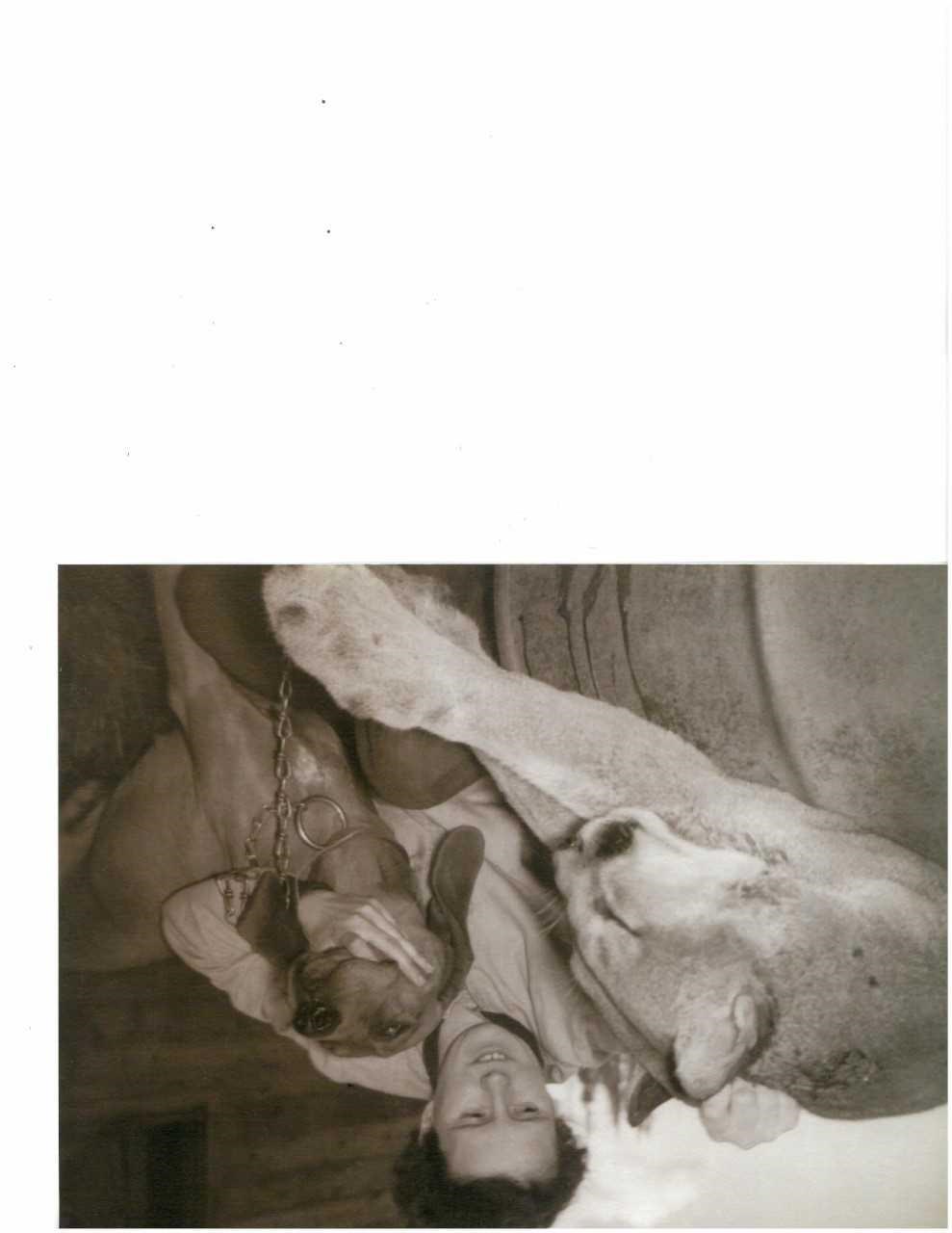 Obituary of Hazel Davidson