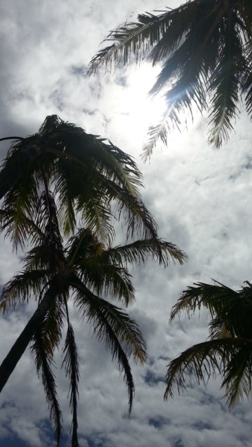 Obituario de Terrence Stephen Vest