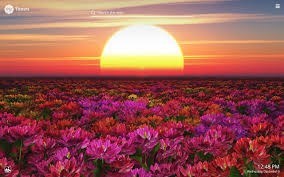 Avis de décès de Theresa Lynn King