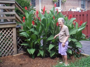 Obituary of Stella C. Prybe