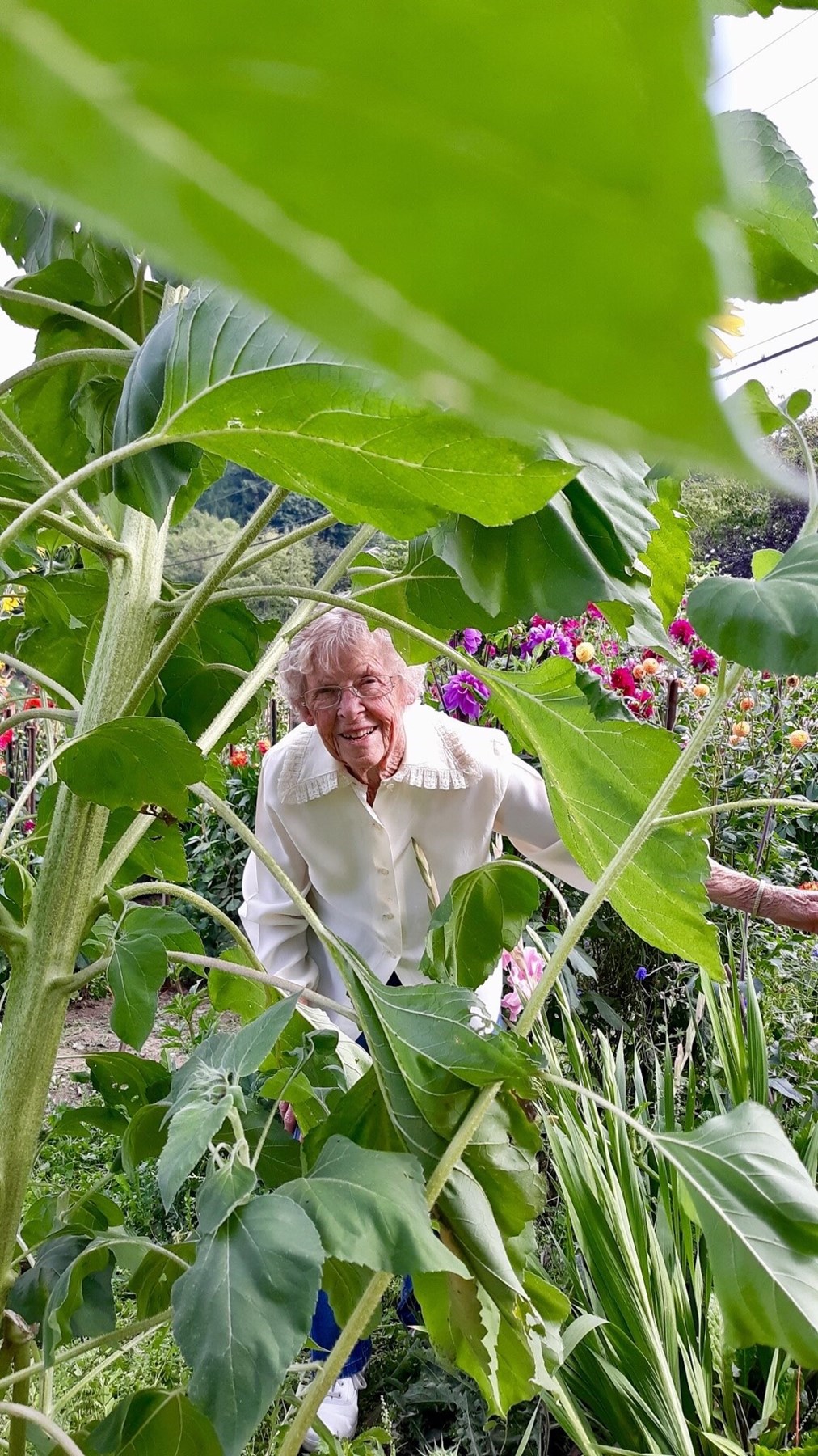 Obituary of Ruth Coy Bellamy