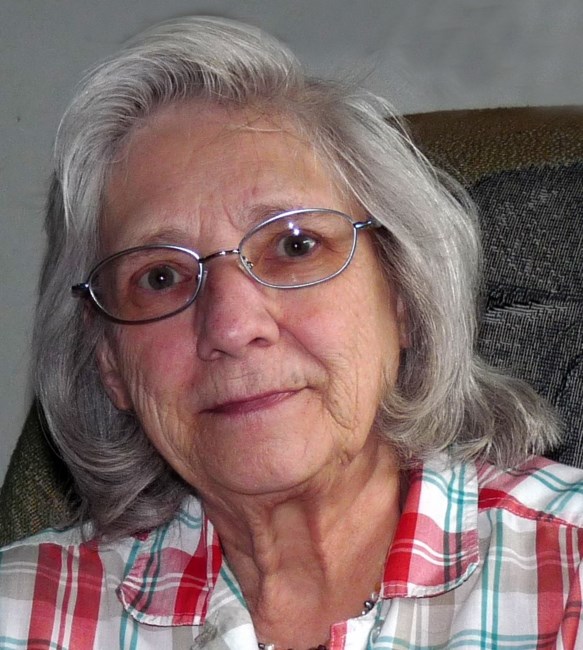 Nancy Martin Obituary Clinton Township, MI