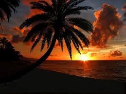 Avis de décès de Mr. Siaki Oto