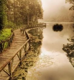 Obituary of Robert Gary Wainright