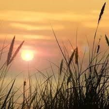 Obituary of Lawrence Arthur Anderson