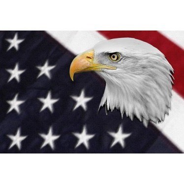 Obituary of William J McCabe