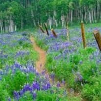 Obituary of Paula Marie Crowe