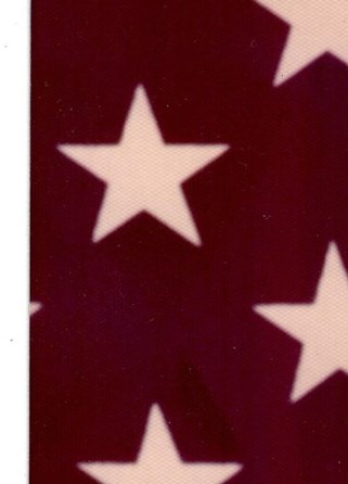 Juan Salas Jr. Obituary - Dallas, TX