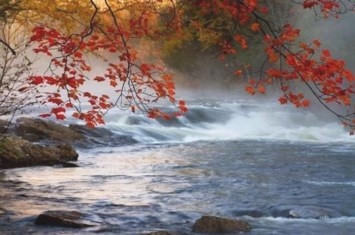 Obituary of Jennie Adeline Cook