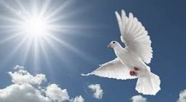 Obituary of Linda Elaine Anagnos