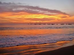 Obituary of Wilson Marshall Osteen Jr.